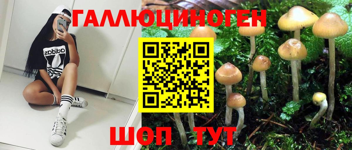 Псилоцибиновые грибы Psilocybe Учалы